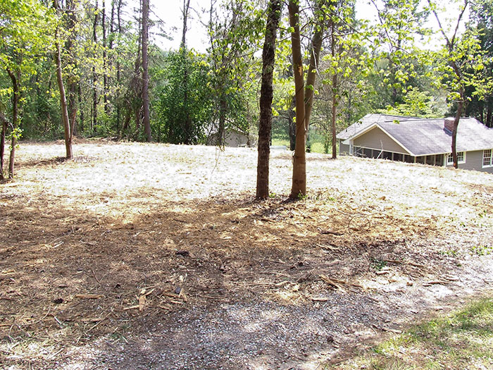 Yard Cleanup After